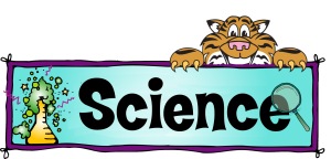 science tiger